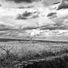 Trail